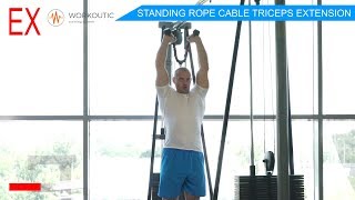 Workoutic  Triceps Exercise  STANDING ROPE CABLE TRICEPS EXTENSION [upl. by Hahsia947]