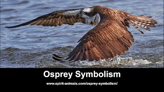 Osprey Symbolism [upl. by Emelina]