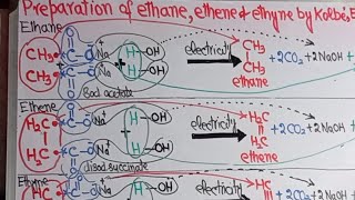 Preparation Of Ethane Ethene and Ethyne by Kolbe Electrolysis  Class 12  UrduHindi [upl. by Auhsaj]