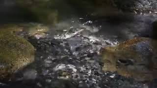 3 hours of Trickling Water No Music  WaterSounds Relaxation CalmWater [upl. by Festus]