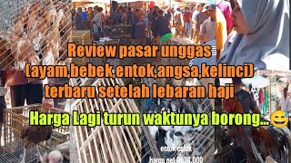 Review pasar unggas Bumiayu❗harga terbaru setelah Lebaran Haji dipasar Wage Bumiayu hari ini [upl. by Caesar]