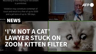 Im not a cat Lawyer cant turn off kitten filter in Zoom court hearing  AFP [upl. by Onfroi553]