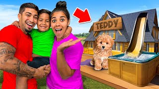 We Built Teddy A DREAM Dog House [upl. by Anyala]