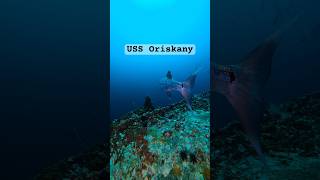 USS Oriskany Wreck Dive scubadiving gopro barracuda diver wreckdive underwater ocean scuba [upl. by Bullis]