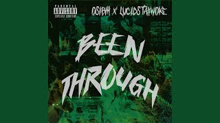 Been Through feat LucidStayWoke [upl. by Atteuqcaj]