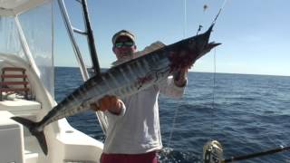 Awesome wahoo bite off Bimini Bahamas [upl. by Womack]