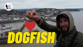 HUGE DOGFISH SHARK UK Beach Fishing Wayne Hand Bristol Channel 4K Drone Fishing SEA [upl. by Etolas609]