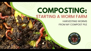 Starting a Worm Farm Harvesting Worms from My Compost Pile [upl. by Llemart]