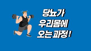 당뇨가 우리몸에 오는 과정 [upl. by Dysart67]