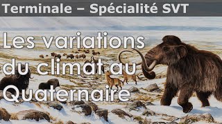 Variations du climat au Quaternaire  SVT  Terminale [upl. by Cuyler]