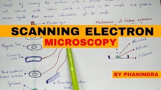 Scanning electron microscopy  SEM  Principle  mechanism [upl. by Haceber293]