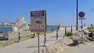 6 Novembre 2024 Ayia Napa Harbour Limanaki Beach Cyprus [upl. by Atwahs]