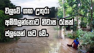 වලවේ ගඟ උතුරා අම්බලන්තොට නිවාස රැසක් ජලයෙන් යටවේ Magama Tv Lk [upl. by Klute]