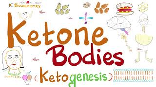 Urine Ketone Bodies  Ketosis and Ketoacidosis  Lab Chemistry [upl. by Ulrick]