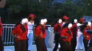 Delta Sigma Theta Lambda Psi 2010 Probate Part 4 [upl. by Mcroberts]