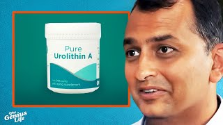 The INSANE Longevity Benefits of Urolithin A  Dr Anurag Singh [upl. by Still855]