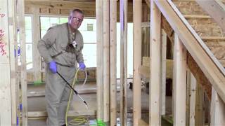 BoraCare Termite Treatment [upl. by Pain]