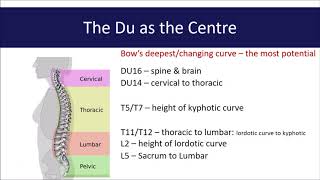 Exploring Acupuncture Points The Du Channel [upl. by Bedad446]