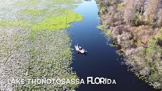 Aerial view Lake Thonotosassa Florida [upl. by Lesly]