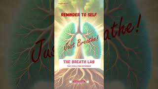 The Breath Lab  the membership [upl. by Droffats825]