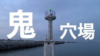 だから釣れるのです！【愛知県釣り】ここは穴場？！そうです知多半島常滑市で、名古屋から近い穴場ポイント、○○漁港 [upl. by Ezarra]