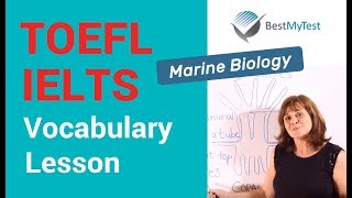 TOEFL Vocabulary Lesson  Marine Biology [upl. by Volin]