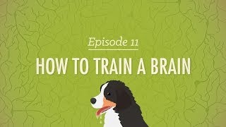 How to Train a Brain Crash Course Psychology 11 [upl. by Oaoj]