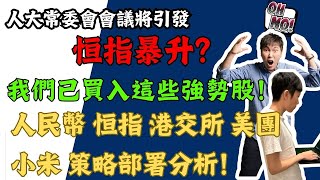 人大常委會會議將引發恒指暴升？我們已買入這些強勢股！人民幣 恒指 港交所 美團 小米 策略部署分析！ [upl. by Namie]