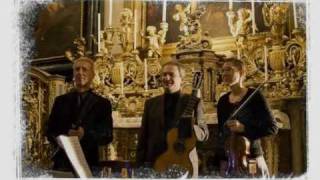 Francesco Molino 1775 1847 Trio op 45 in Re Maggiore I Allegro [upl. by Eatnwahs]