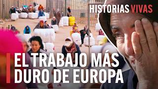 Las mulas humanas de Melilla el trabajo más duro de Europa  Historias Vivas  Documental HD [upl. by Gnak]