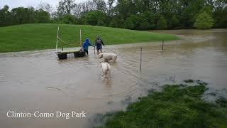 Olentangy River Flooding May 19 2020 [upl. by Dreddy]