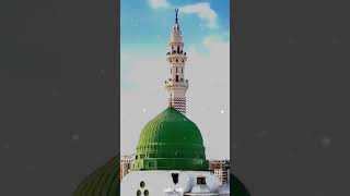 Rota rota Madina ka wale Beet Jaya na din Zindagi ka 🌹💚🌹💚🌹💚🌹💚🌹💚🌹💚🌹💚🌹💚 [upl. by Artap]