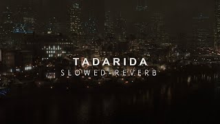 Batman Begins  Tadarida Slowed  Reverb [upl. by Uahc]