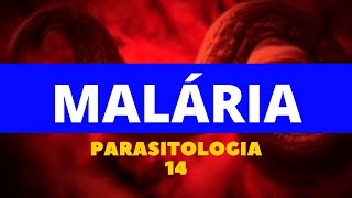 MALÁRIA  PARASITOLOGIA 14 [upl. by Asyral202]