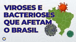 Viroses e Bacterioses que afetam o Brasil  Acelere no ENEM [upl. by Aik924]