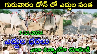 07112024 గురువారం డోన్ సంతలో పలికిన పాలపల్ల కోడె దూడలు amp ఎద్దుల రేట్లు చూద్దాం Dhone Bulls Market [upl. by O'Donnell946]