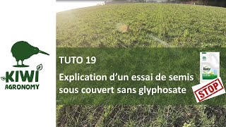 Julien SENEZ  Semis direct sous couvert sans Glyphosate [upl. by Bacchus465]