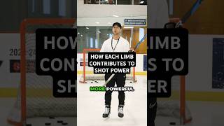 HOW EACH LIMB CONTRIBUTES TO SHOT POWER hockeycoaching hockeytraining [upl. by Eirene]