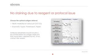 IHC Troubleshooting protocol issue [upl. by Eyr417]