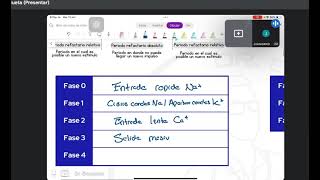 ARRITMIAS FISIOPATOLOGIA [upl. by Fabrin]