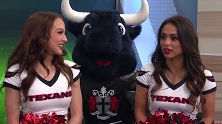 Houston Texans cheerleaders and mascot Toro stop by KPRC 2 News Today [upl. by Barber20]