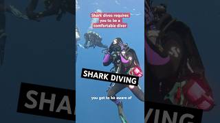 Every diver needs to try Shark Diving at least once in their life 🤿🦈 sharks scuba bucketlist [upl. by Ellary]