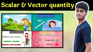 Scalar amp vector quantity  with examples hindi amp english [upl. by Arodasi131]