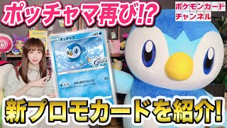 【ポケカ情報】プロモカード「ポッチャマ」が登場！ポッチャマと一緒に紹介＆解説！？【ポケモンカードプロジェクトポッチャマ】 [upl. by Naginnarb]