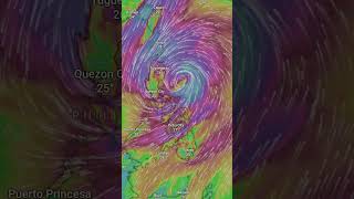 Typhoon Kristine Update [upl. by Tabbi]