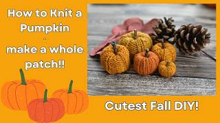 How to Create Your Own Knit Pumpkin Patch DIY Tutorial [upl. by Converse]