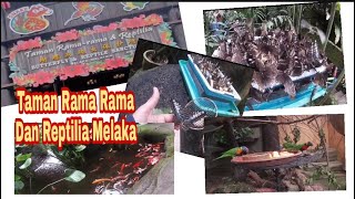 Jom Ke Taman Rama Rama Dan Reptilia Melaka [upl. by Adnema593]