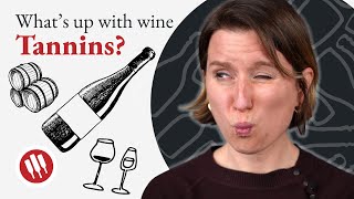 Are Tannins Wines Little Miracle  Wine Folly [upl. by Aisel398]