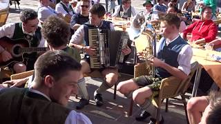 Trio SBS mit Alexander Weisbecker  Swingende Harmonika  von Günter Amann [upl. by Sillig]