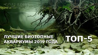 Топ5 биотопных аквариумов 2019 года  Top5 Biotope Aquarium Design Contest 2019 [upl. by Aicekal]